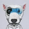 Etui Nimmy Cool&Cute 2.0 Dog do iPhone   17 Pro szary